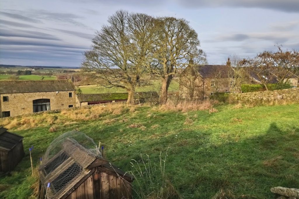 'Stuck in the middle of the countryside with only my cats for company.'