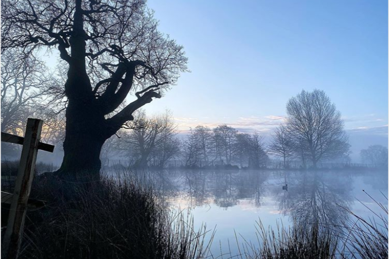 Pondscape 🌳 @itsjamesherring on Instagram