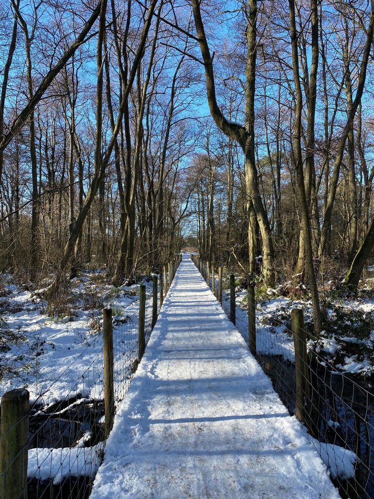 Making time to get outside and get moving. Very cold but a beautiful 50 minutes round the ‘little pond’. @jennifield on Insagram