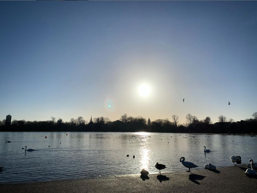 First London run of the year. Up early to beat the crowds and enjoy the beautiful winter sun in Hyde Park☀️ @lornagott on Instagram