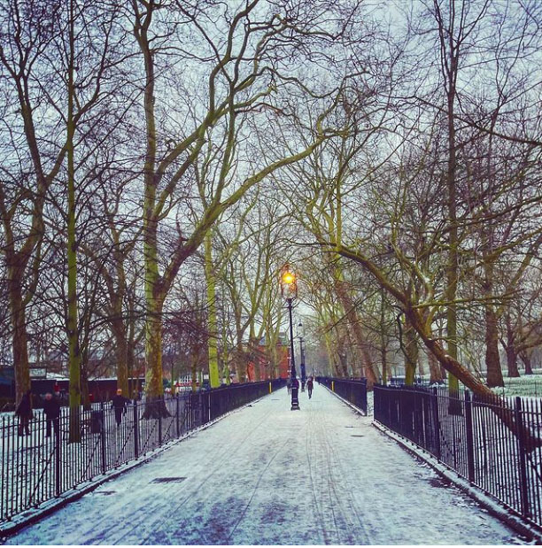 Highbury Fields 7:15am
@onecarlie on Instagram
