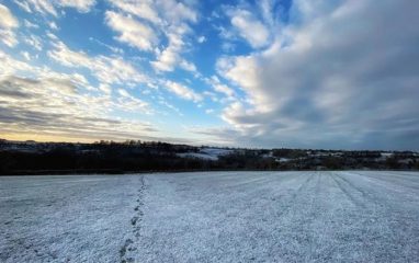 Spring @markborkowski