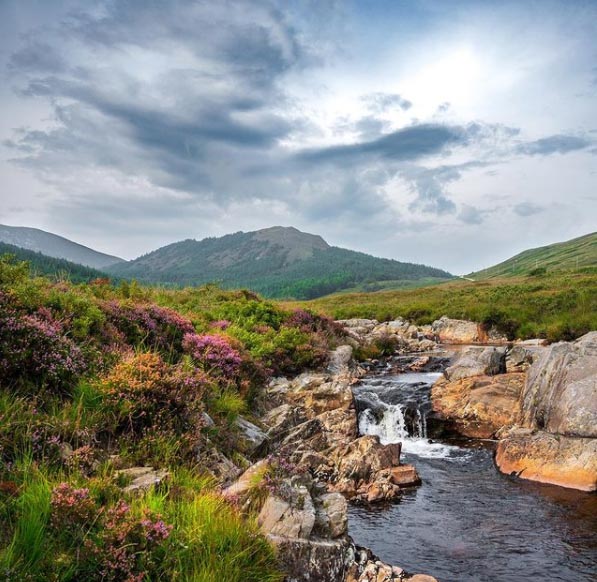 The Isle of Arran really is an untouched landscape, teeming with wildlife. ❤️ it here. @michaelwhite1 on Instagram