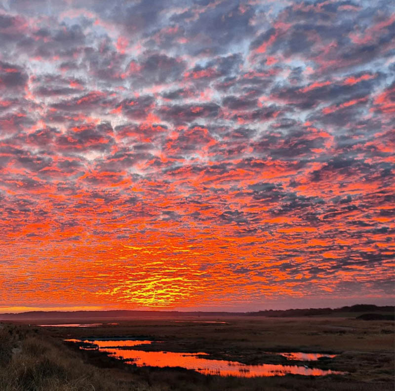 Last night's East coast sunset at its soaring majestic height. @tonlylangham on Instagram