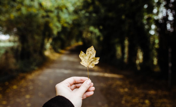 Photo @thinkinspiredo on Instagram