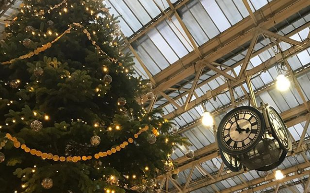 Christmas tree @r_henders on Instagram