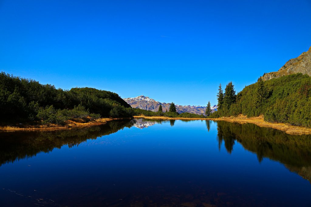 Pixabay (Creative Commons)