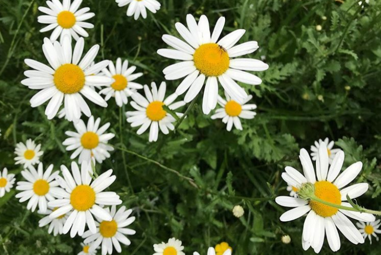 @sharpjoseph on Instagram