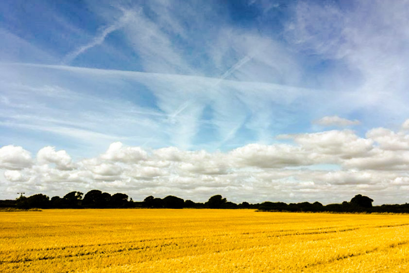 Big summer sky (Tom Watson @watson950)