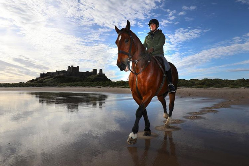 Basil on his first beach outing at Bamburgh @prgirlclaire