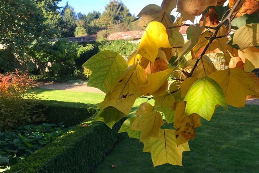 #huntingforautumn @r_henders