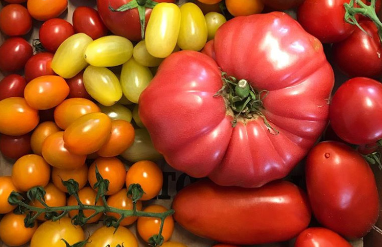 Lovely @iowtomatoes. They’re the best. ? @pamll0yd